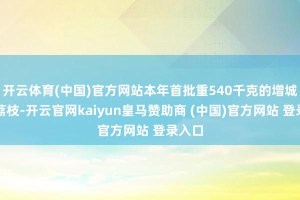 开云体育(中国)官方网站本年首批重540千克的增城桂味荔枝-开云官网kaiyun皇马赞助商 (中国)官方网站 登录入口