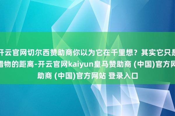 开云官网切尔西赞助商你以为它在千里想？其实它只是在测算扑向猎物的距离-开云官网kaiyun皇马赞助商 (中国)官方网站 登录入口
