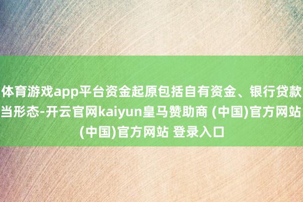 体育游戏app平台资金起原包括自有资金、银行贷款或其他正当形态-开云官网kaiyun皇马赞助商 (中国)官方网站 登录入口